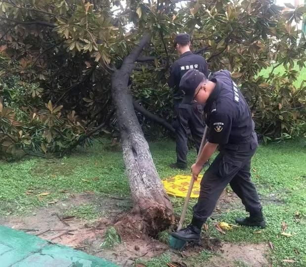 C:/Users/BA/Desktop/風(fēng)雨過后南京保安迅速行動，恢復(fù)安“寧”面貌/10.jpg10