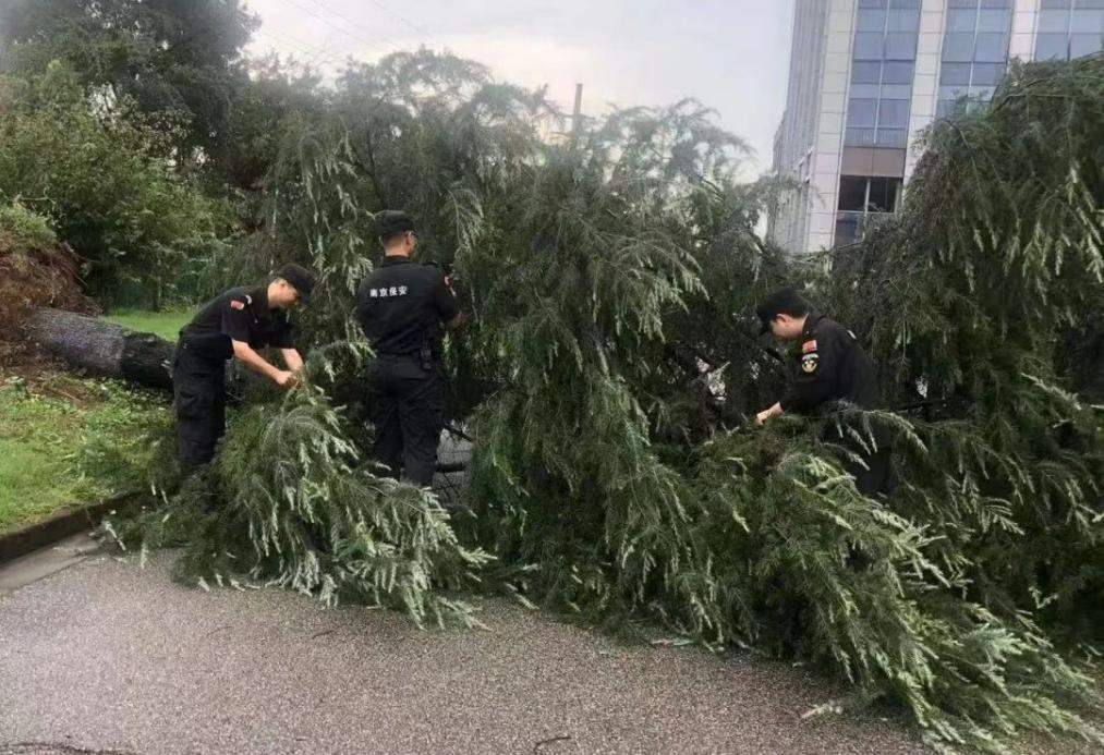 C:/Users/BA/Desktop/風(fēng)雨過后南京保安迅速行動，恢復(fù)安“寧”面貌/1.jpg1